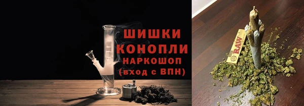 дмт Богородицк