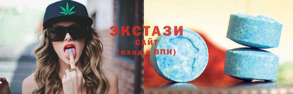 дмт Богородицк