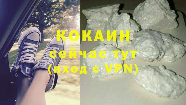 дмт Богородицк