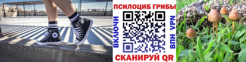 Псилоцибиновые грибы мухоморы  Кореновск 